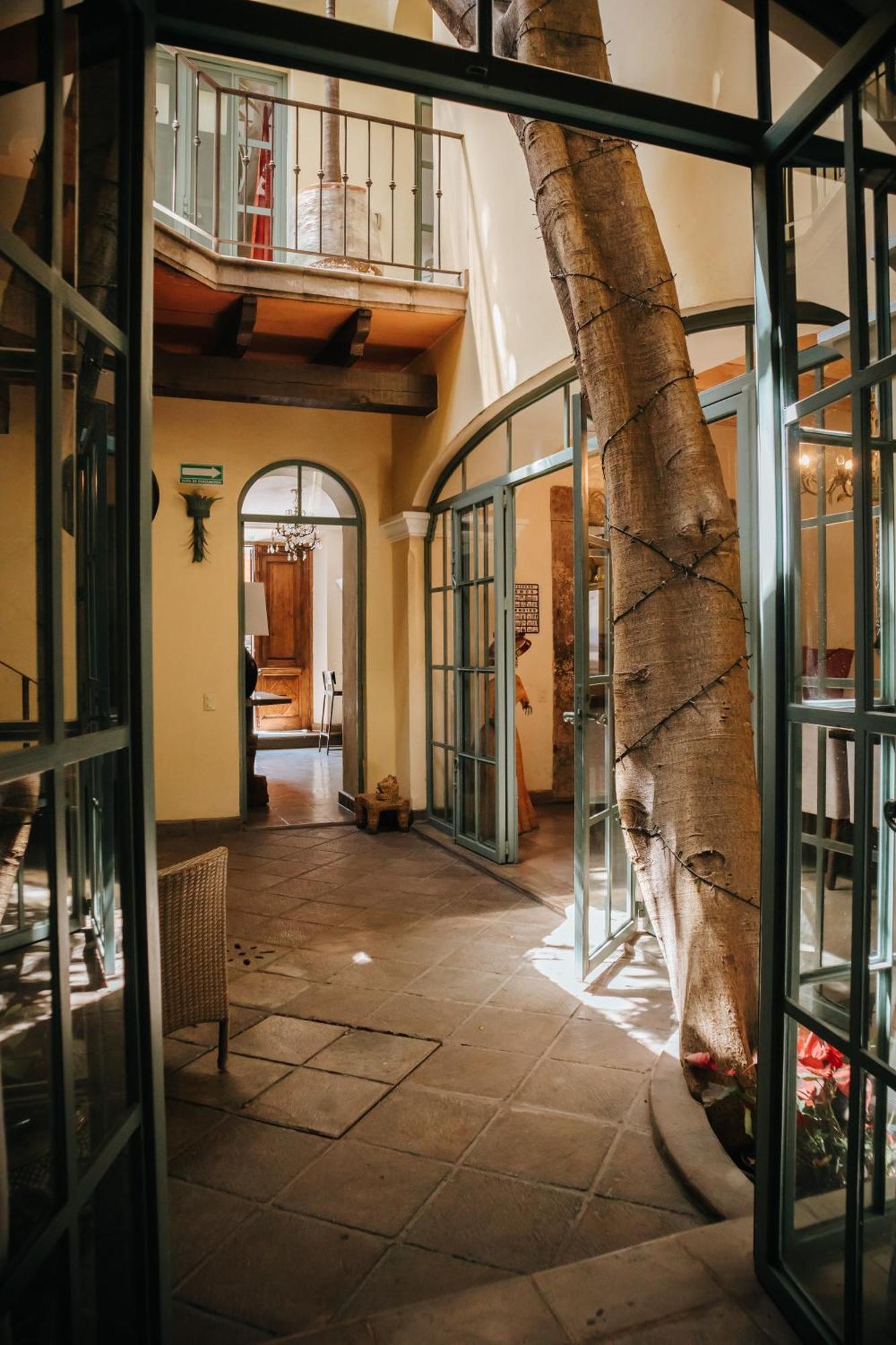 Bed and Breakfast Casa Florida Альенде Экстерьер фото